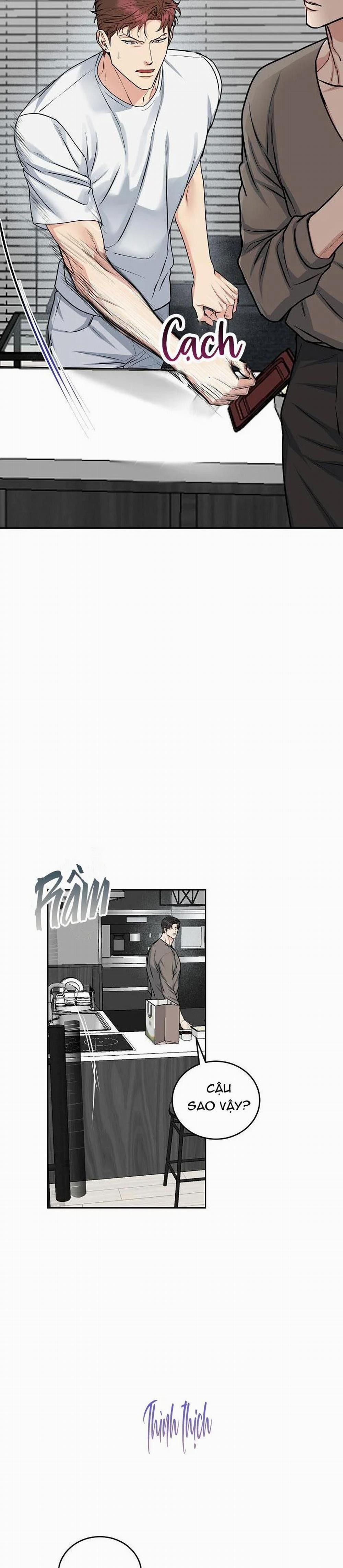 Chó Và Chim 13 trang 13