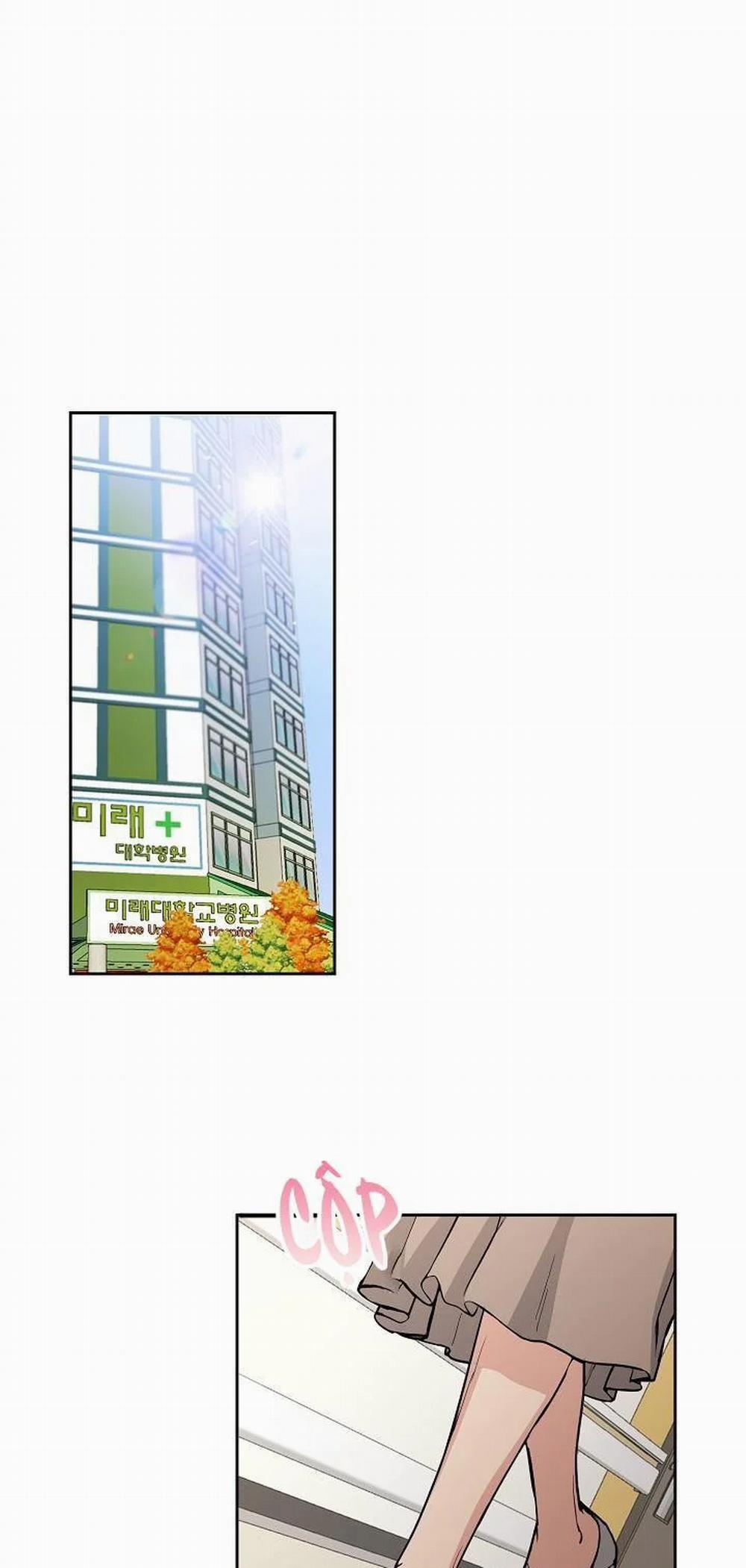 Chó Và Chim 15 trang 1