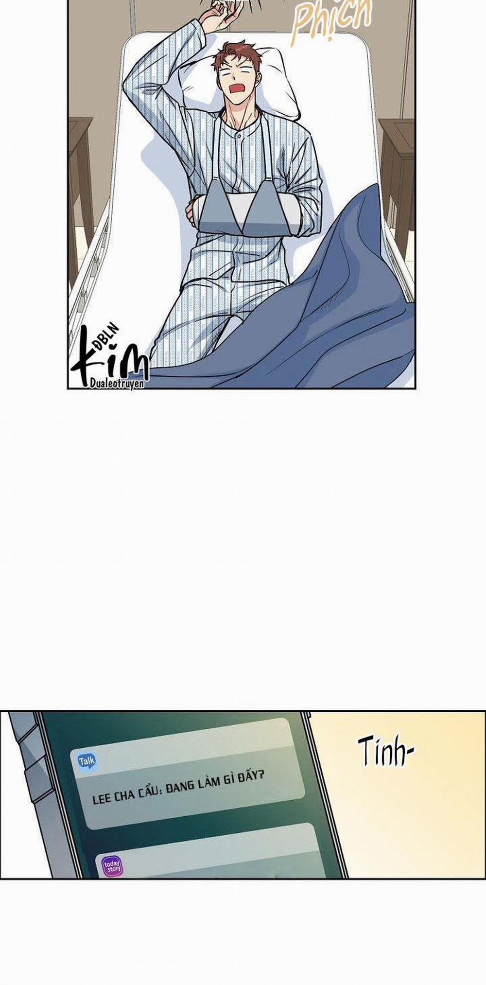 Chó Và Chim 15 trang 13