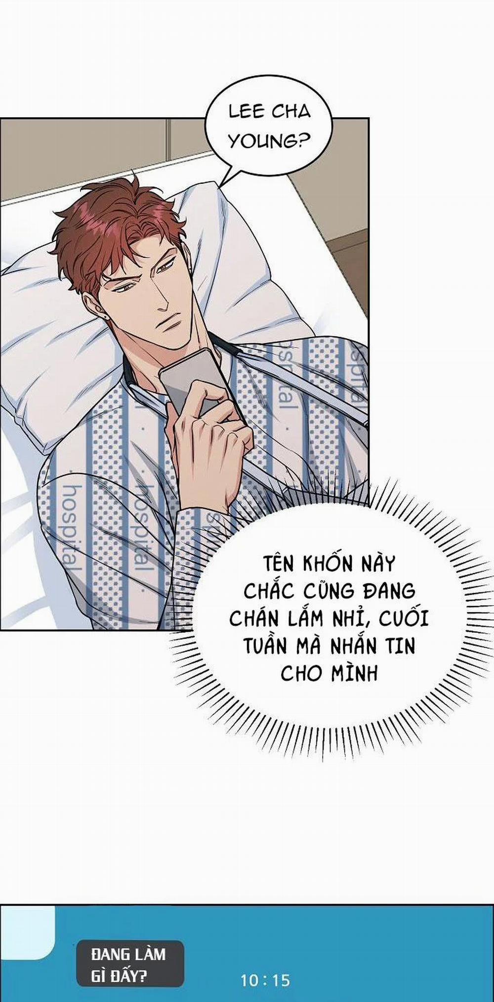 Chó Và Chim 15 trang 14