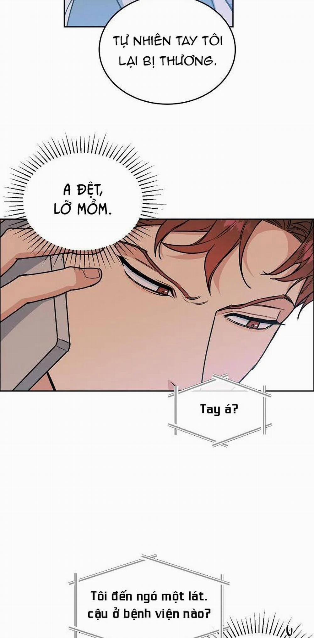 Chó Và Chim 15 trang 19