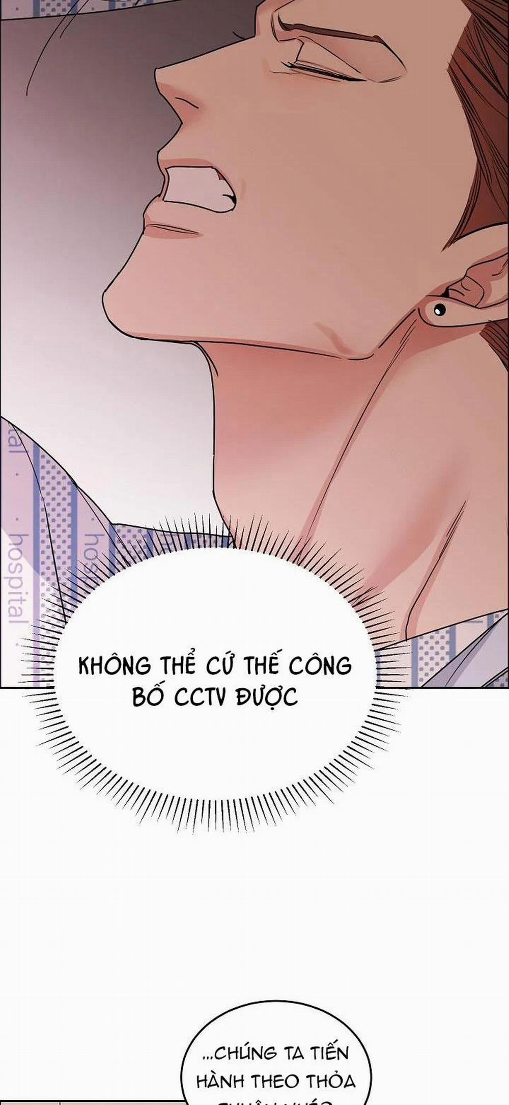 Chó Và Chim 15 trang 48