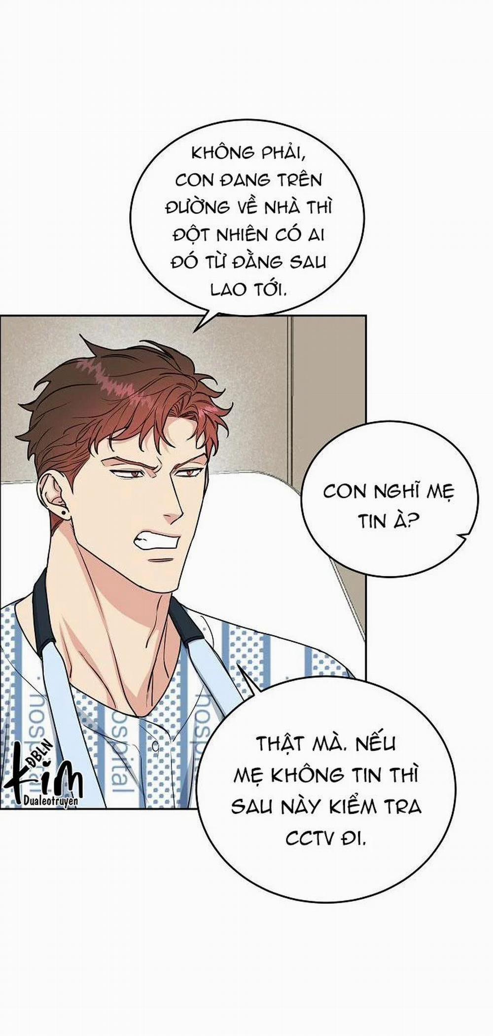 Chó Và Chim 15 trang 6