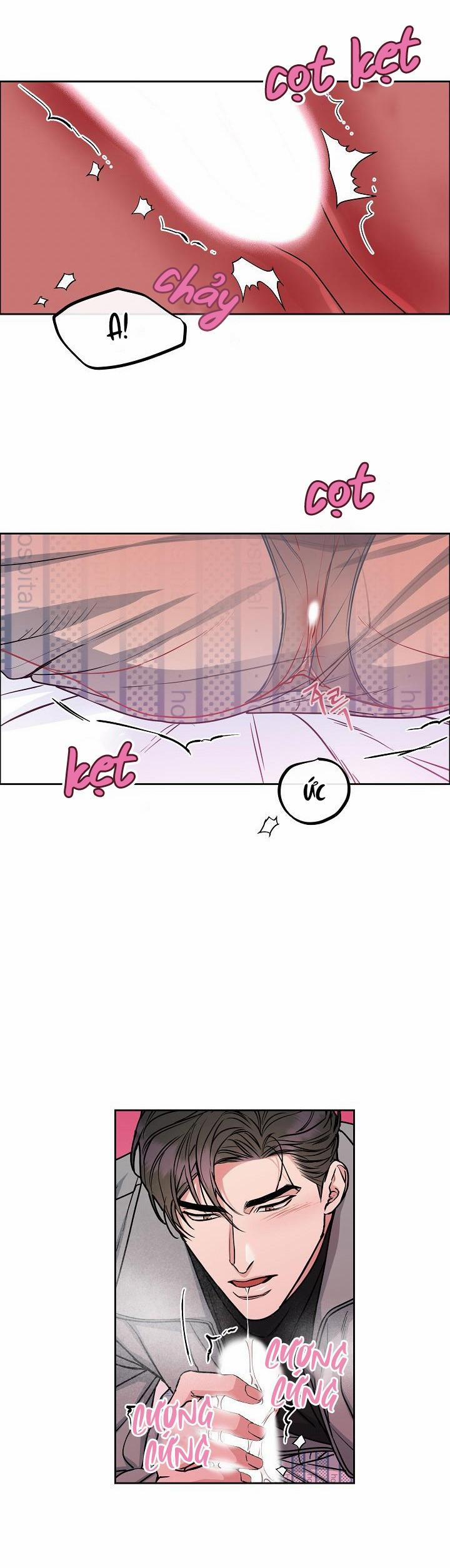 Chó Và Chim 16 0 trang 10