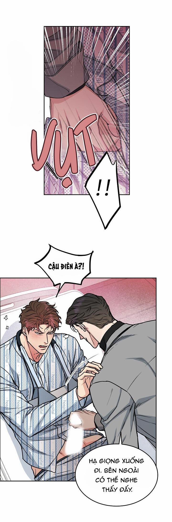 Chó Và Chim 16 0 trang 2