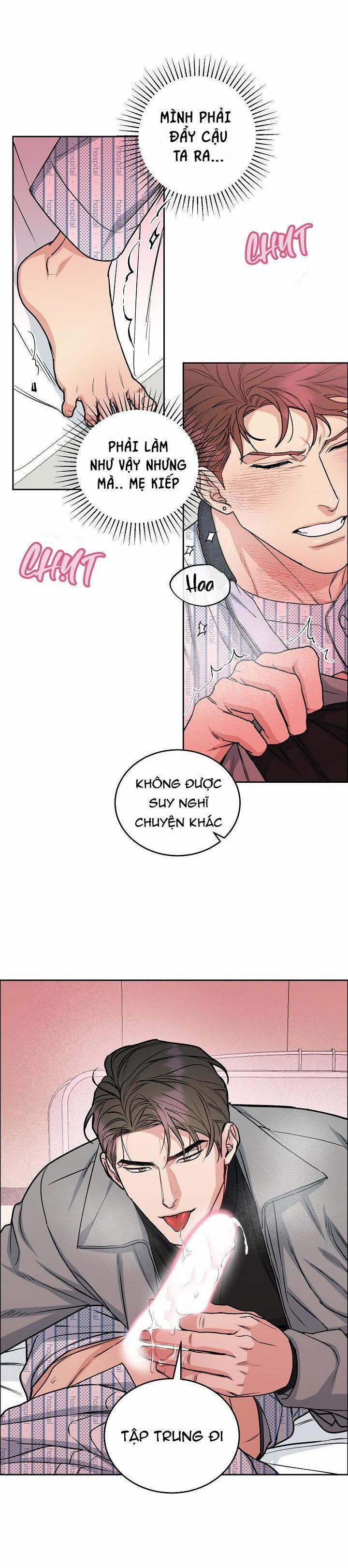 Chó Và Chim 16 0 trang 8