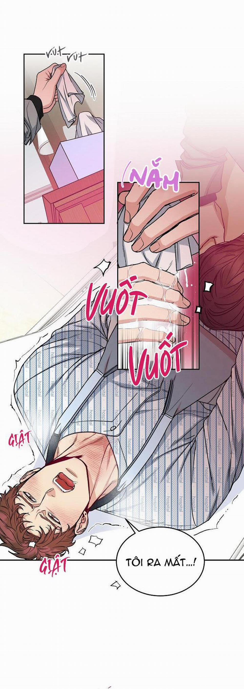 Chó Và Chim 16 trang 11