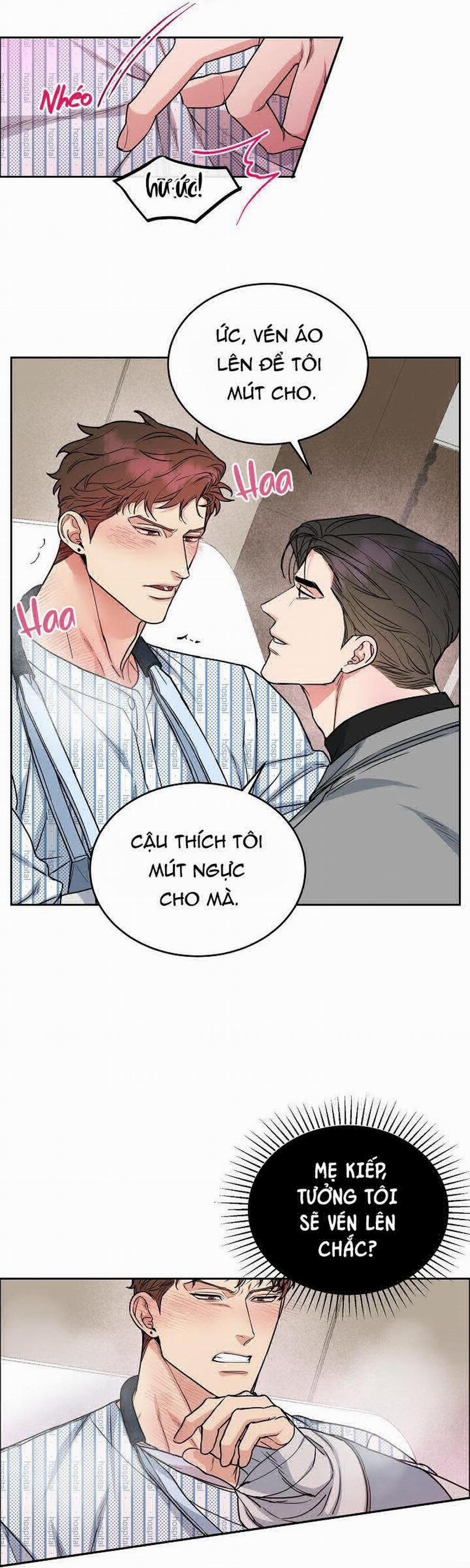 Chó Và Chim 16 trang 12