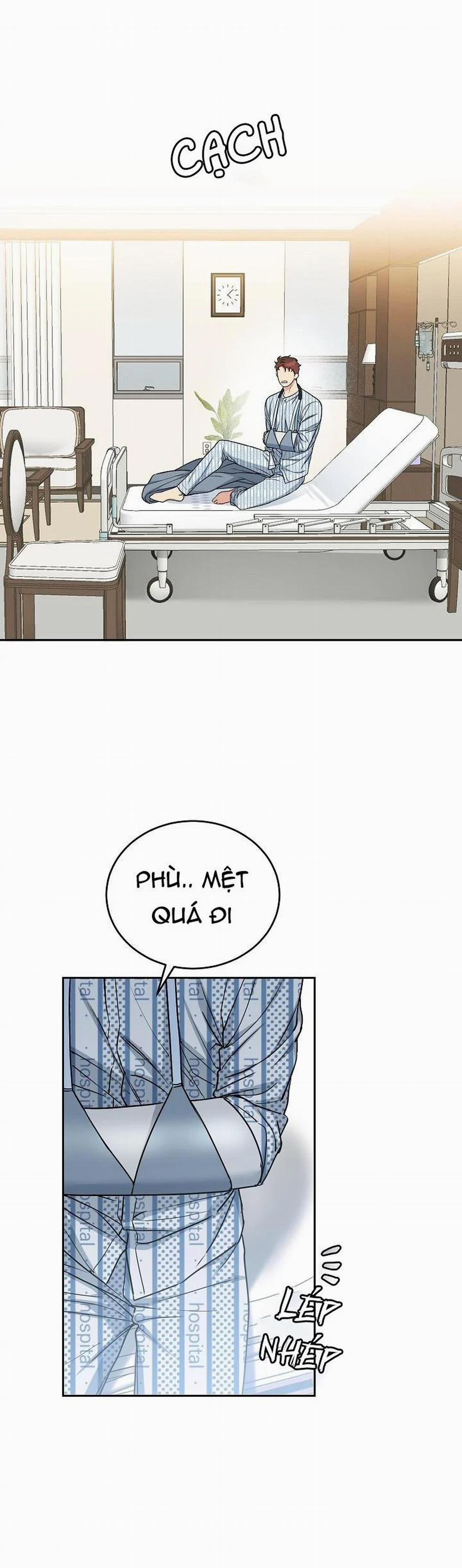 Chó Và Chim 16 trang 25