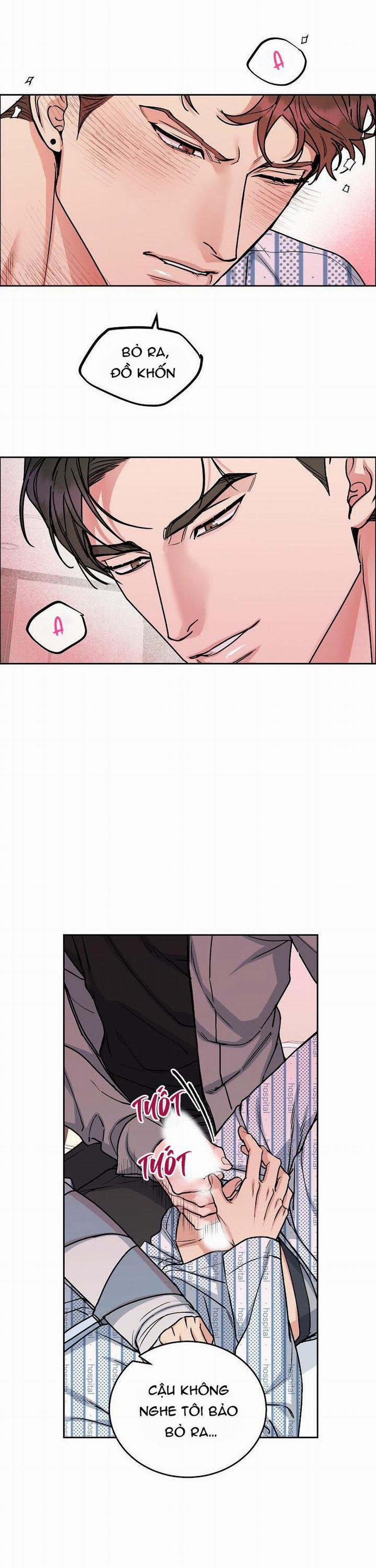 Chó Và Chim 16 trang 3