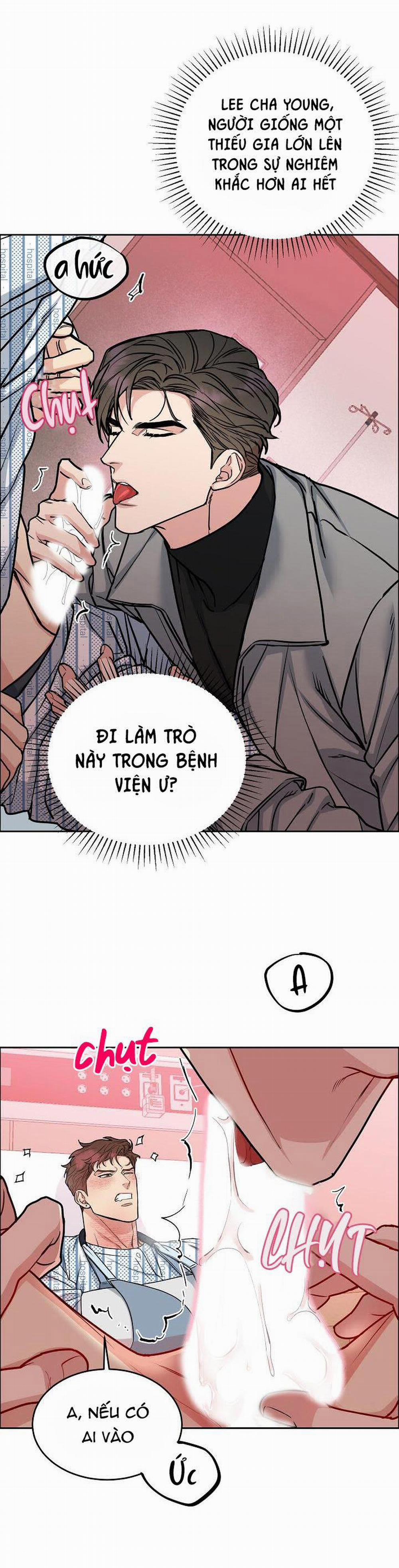 Chó Và Chim 16 trang 7