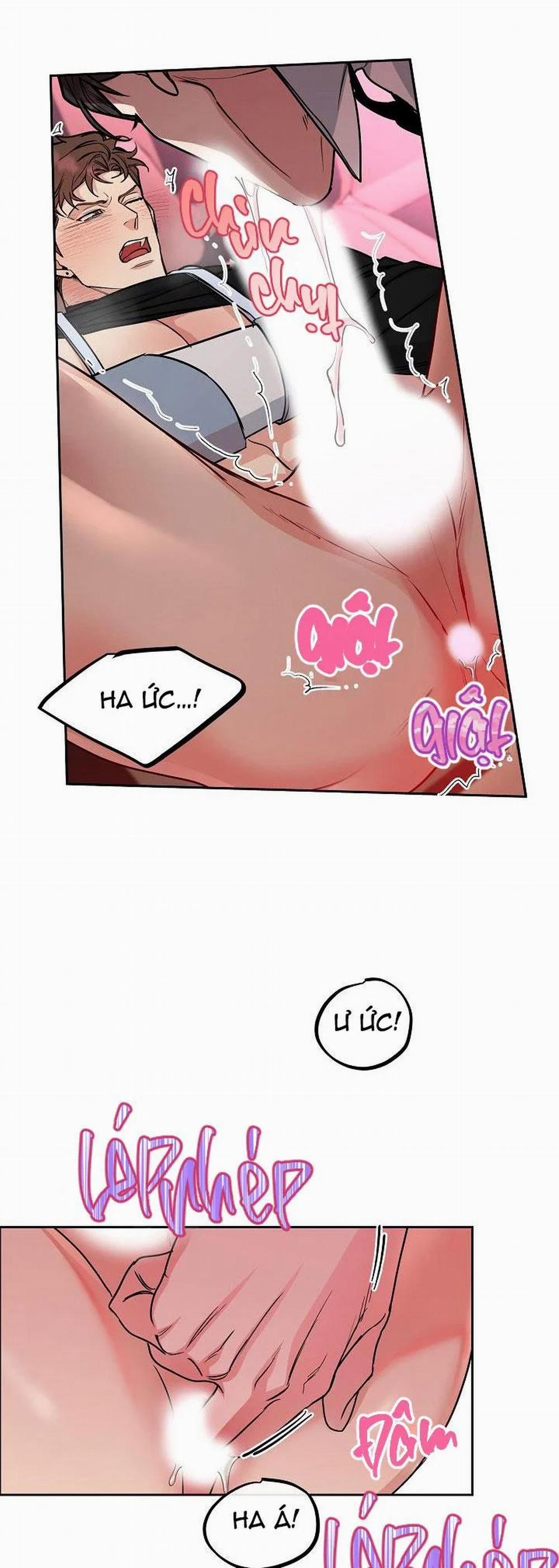 Chó Và Chim 17 trang 31