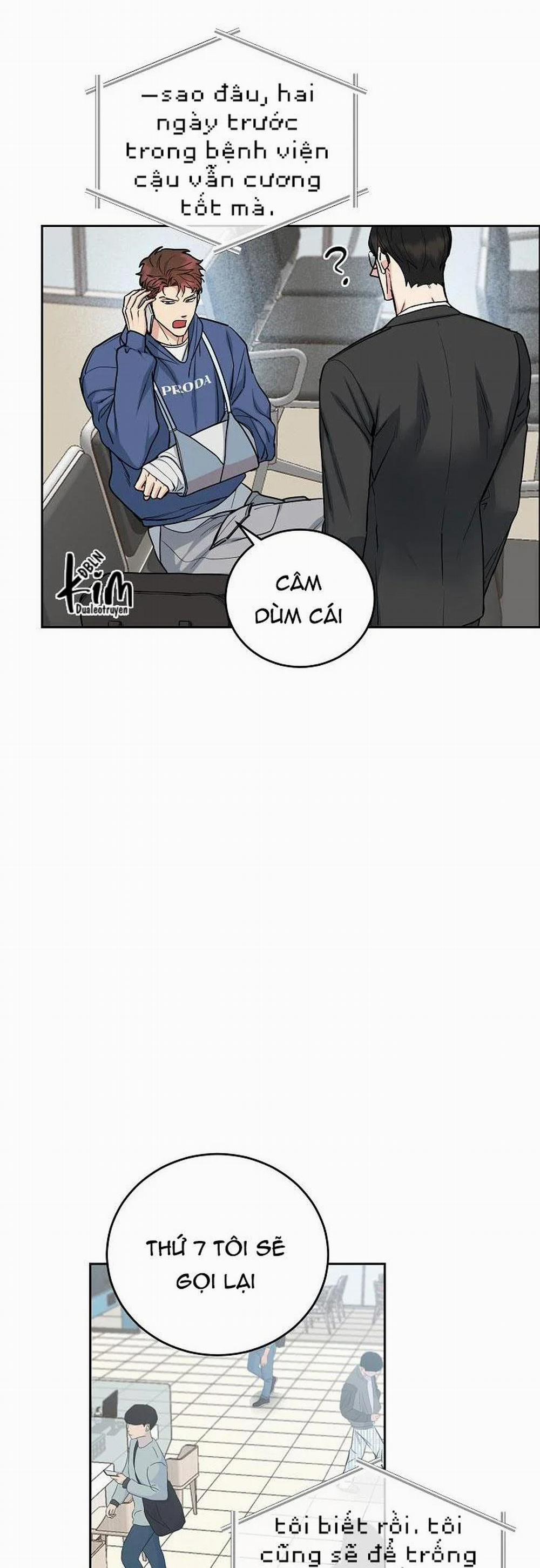 Chó Và Chim 17 trang 5