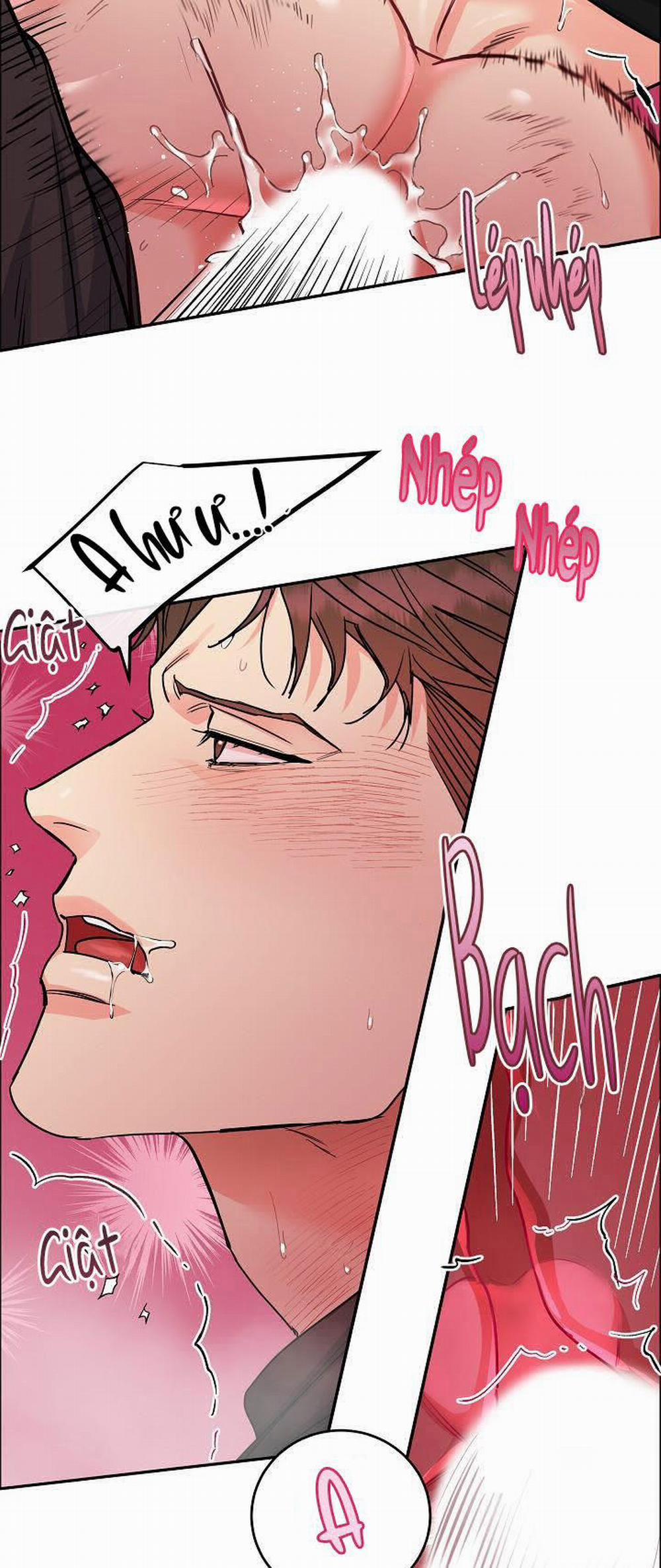 Chó Và Chim 18 trang 19