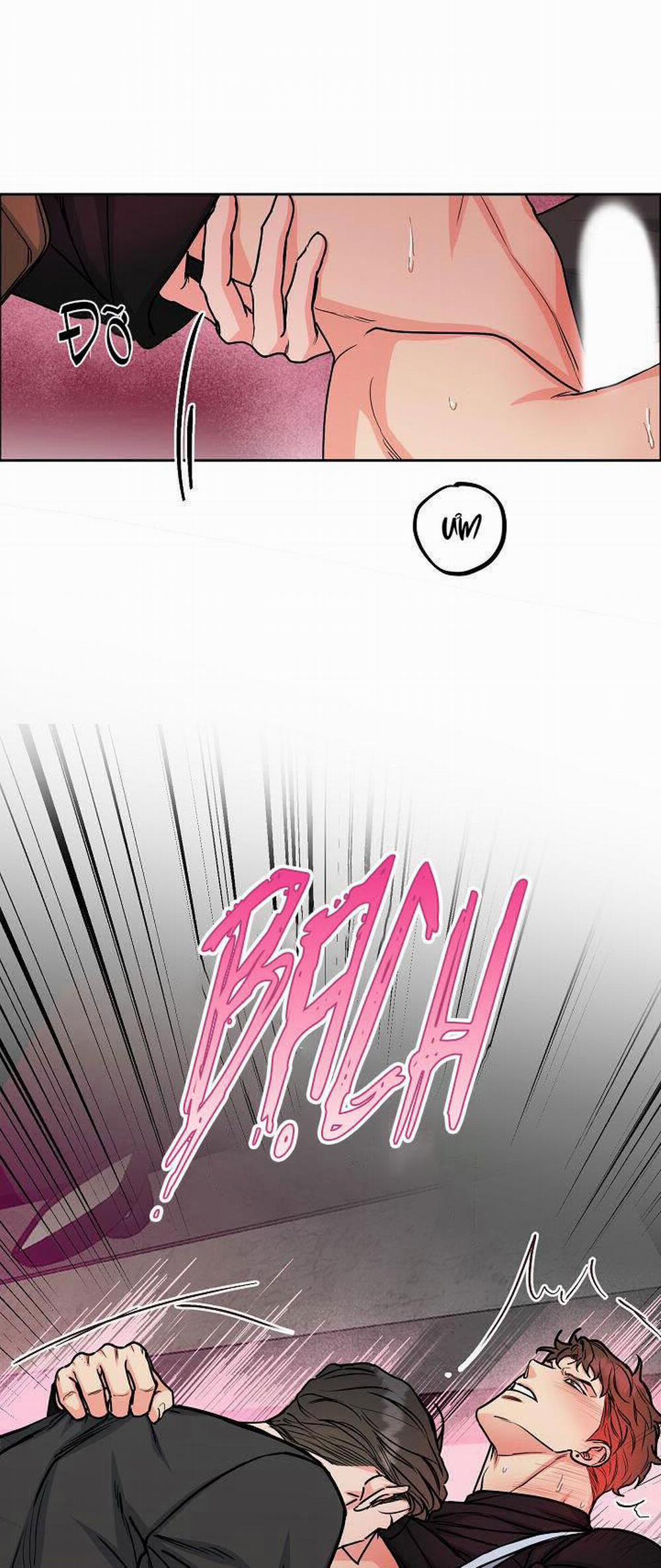 Chó Và Chim 18 trang 7