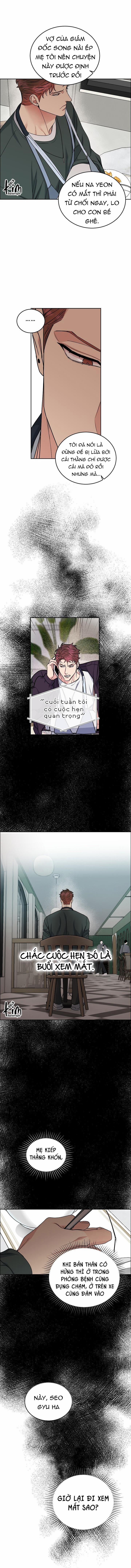 Chó Và Chim 20 trang 12