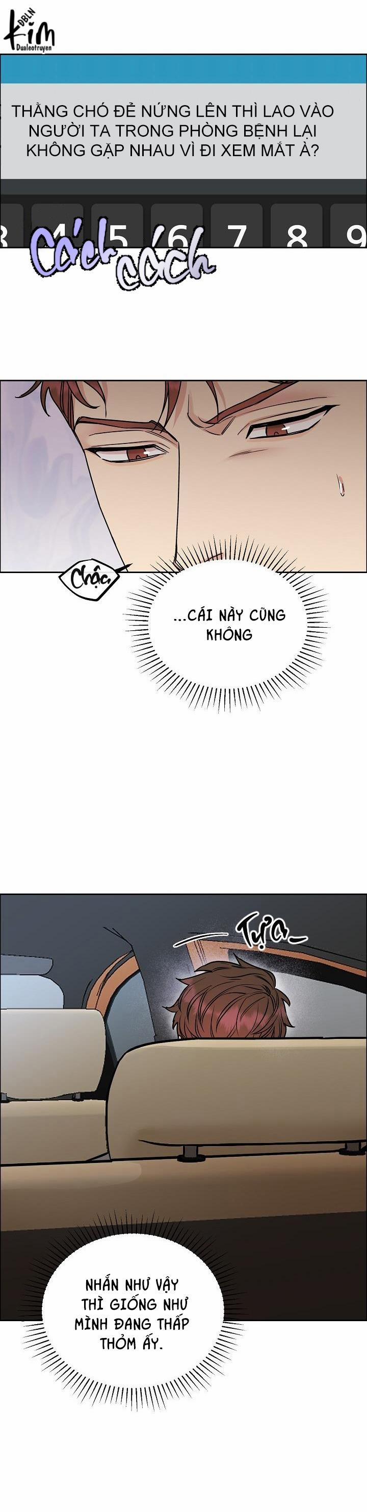 Chó Và Chim 20 trang 20