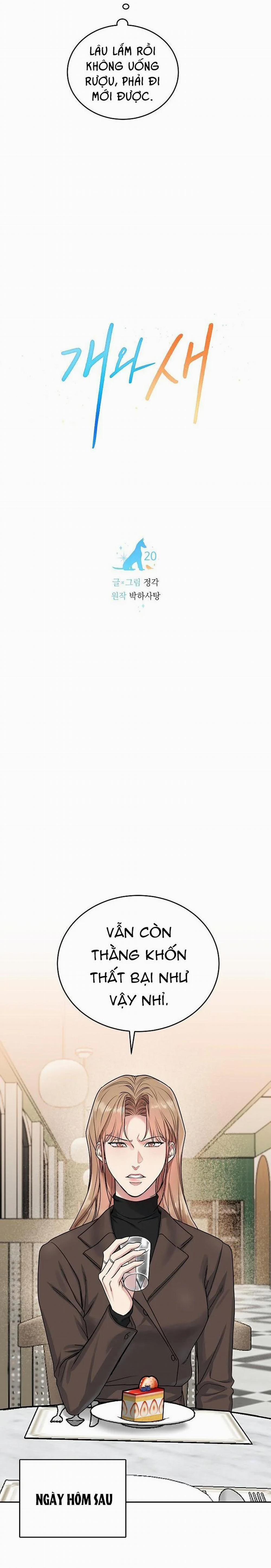 Chó Và Chim 21 trang 4