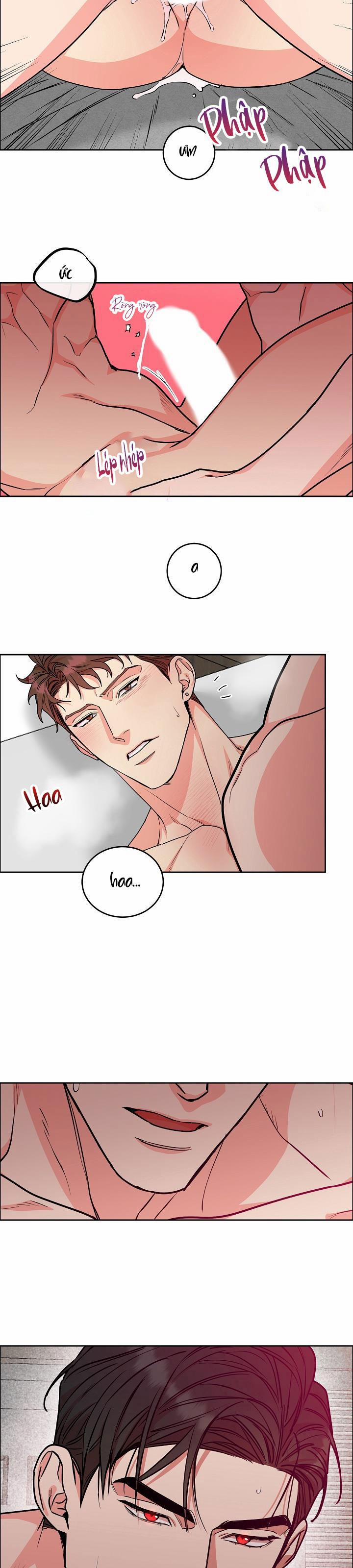 Chó Và Chim 25 END SS1 (Thắt nút) trang 13