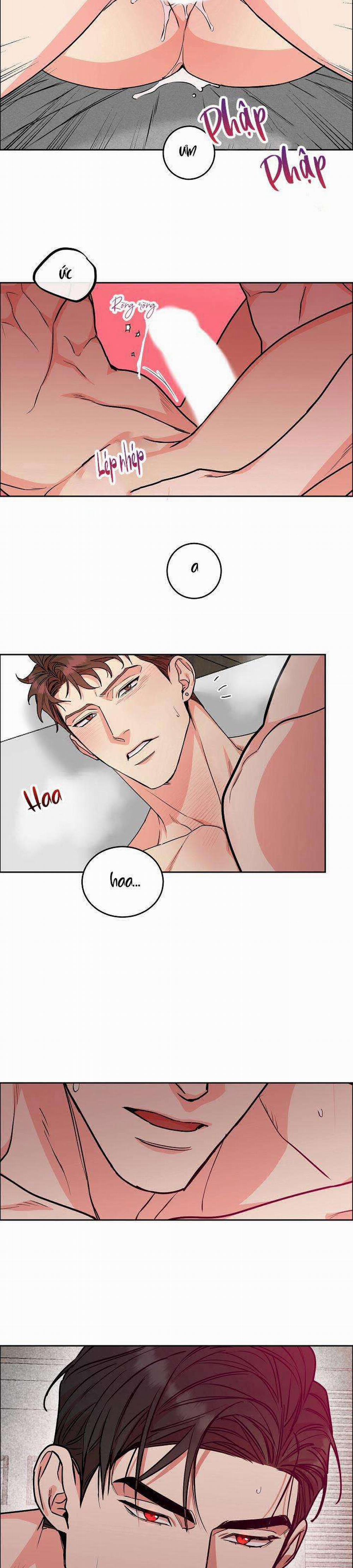 Chó Và Chim 25: H+++ trang 13