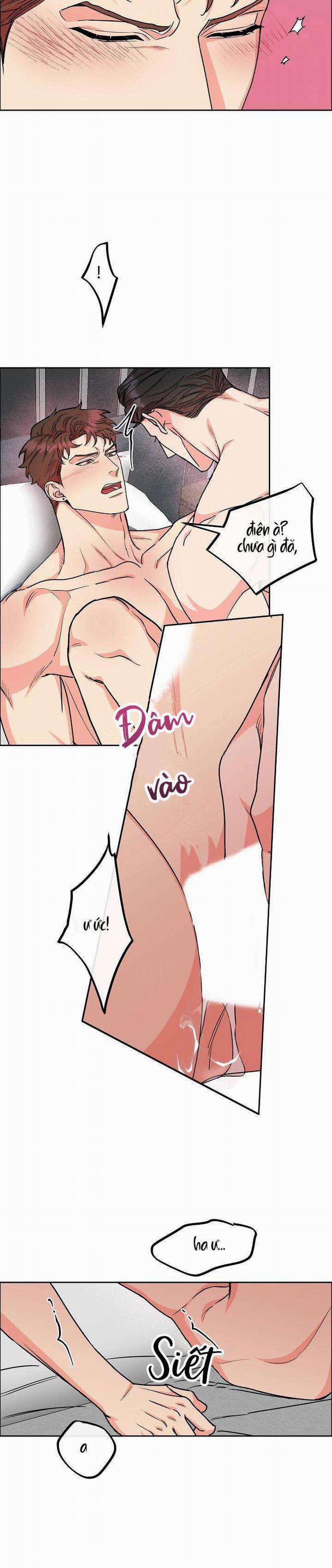 Chó Và Chim 25: H+++ trang 7