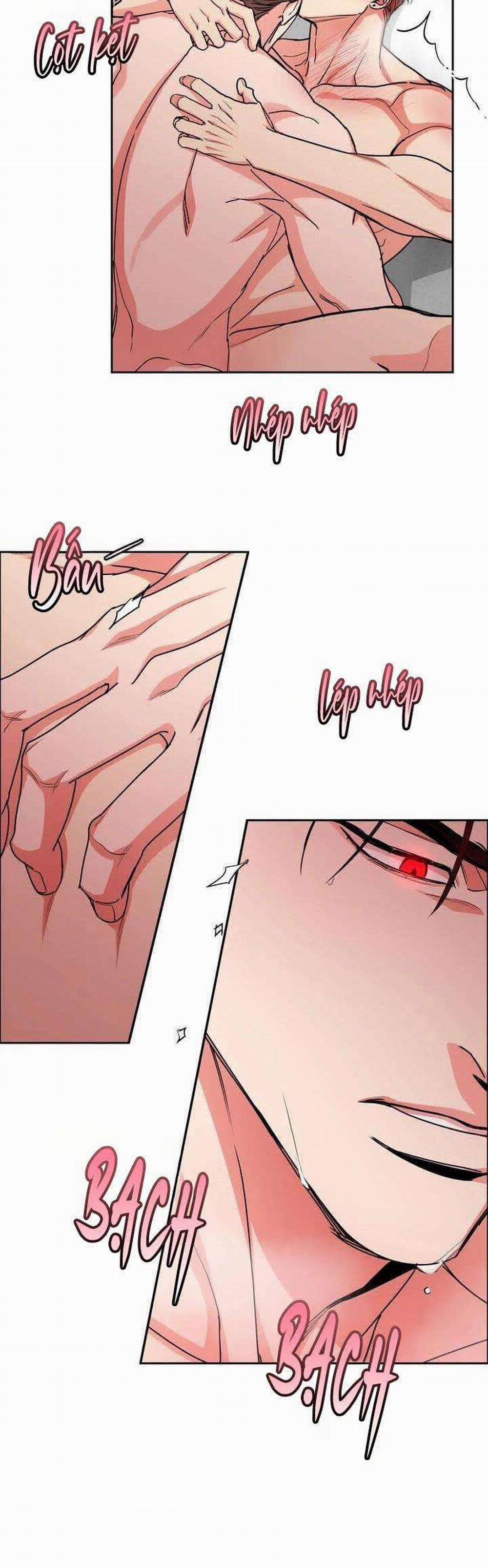 Chó Và Chim 26: END SS1 (Thắt nút) trang 7