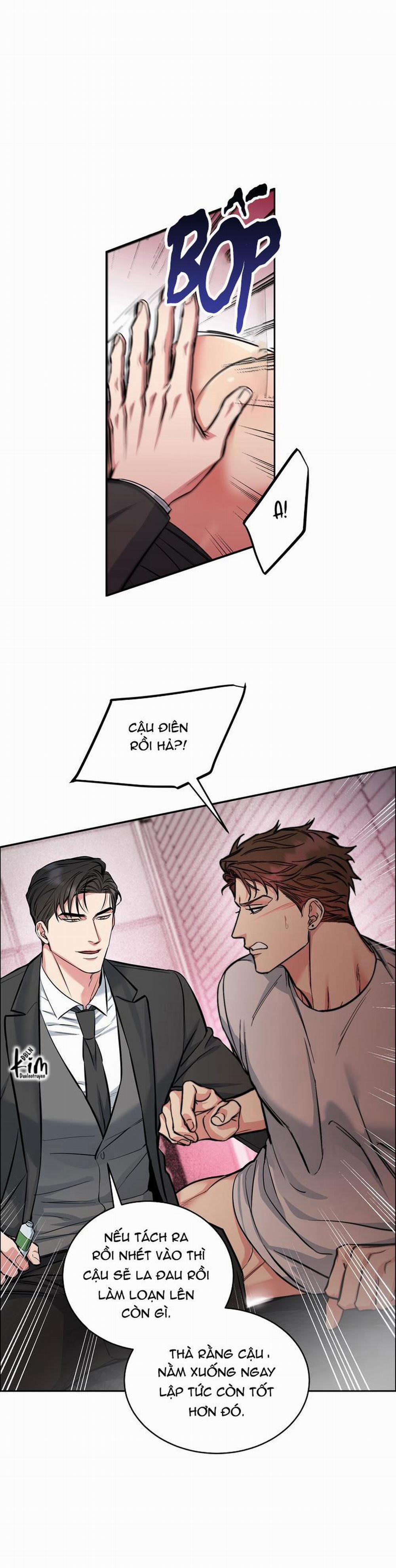 Chó Và Chim 27 trang 20