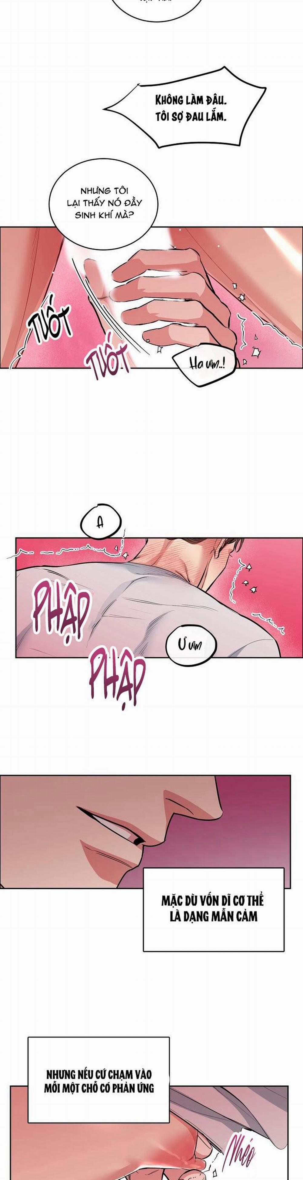 Chó Và Chim 27 trang 26