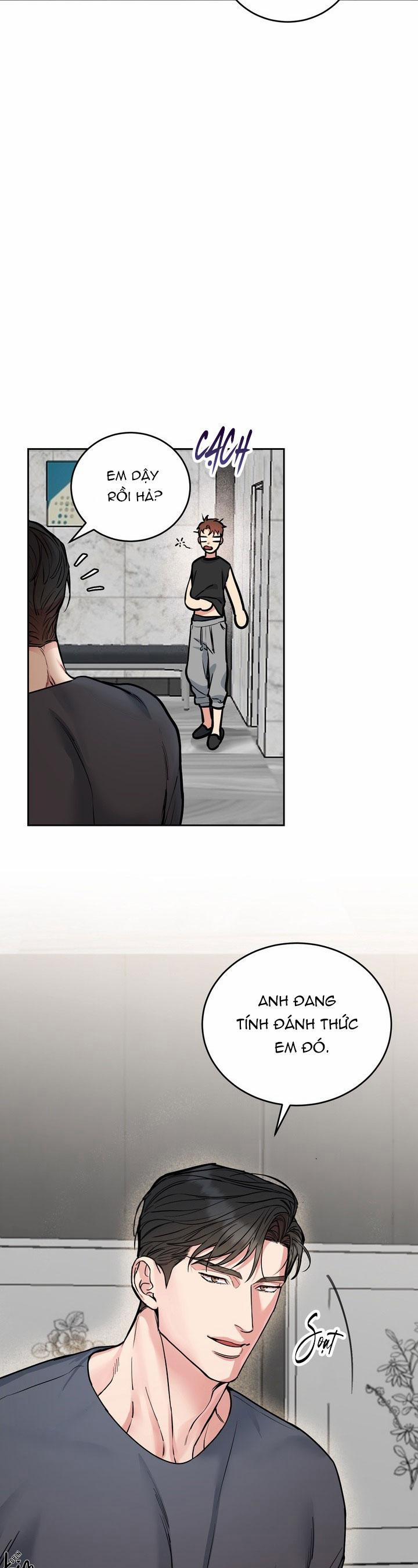 Chó Và Chim 46 nt1 trang 2