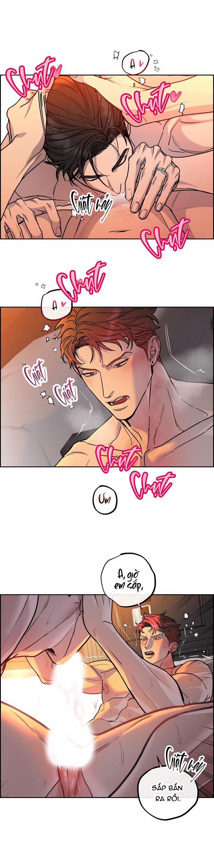 Chó Và Chim 47 trang 5