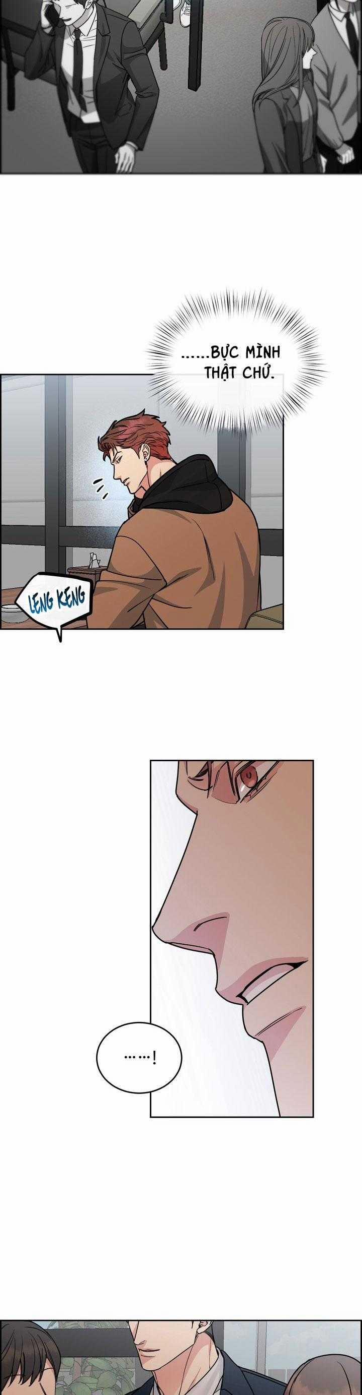 Chó Và Chim 48 trang 14