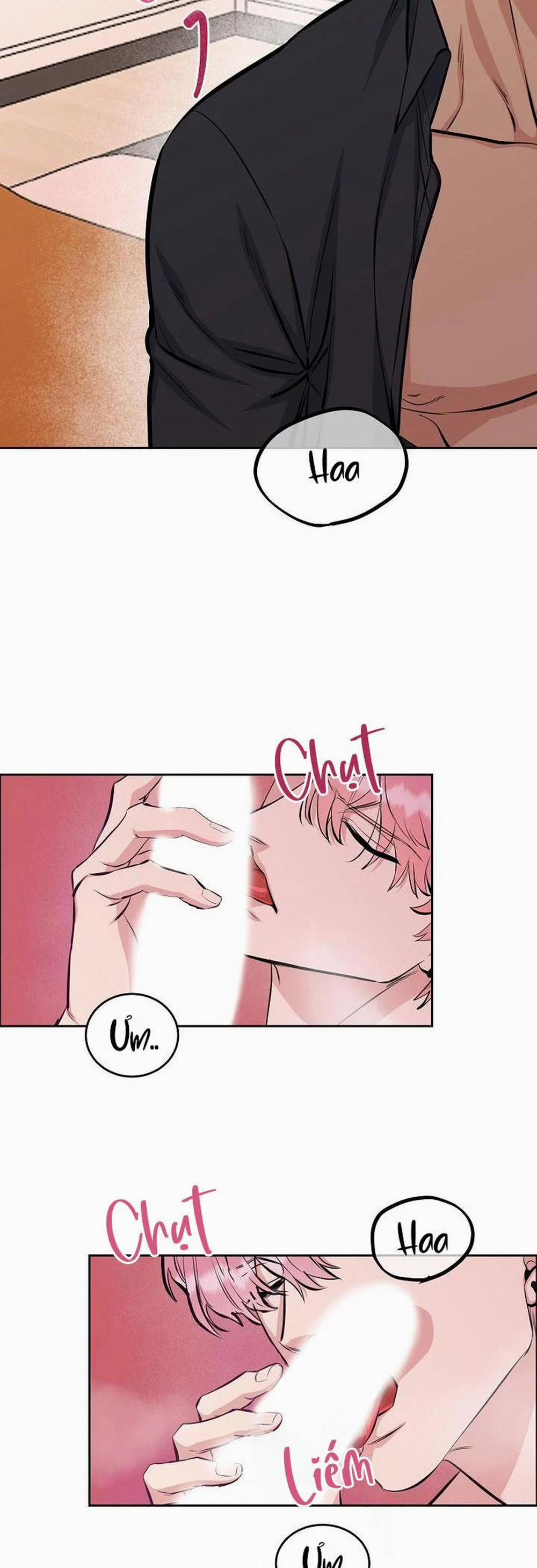 Chó Và Chim 5 trang 19