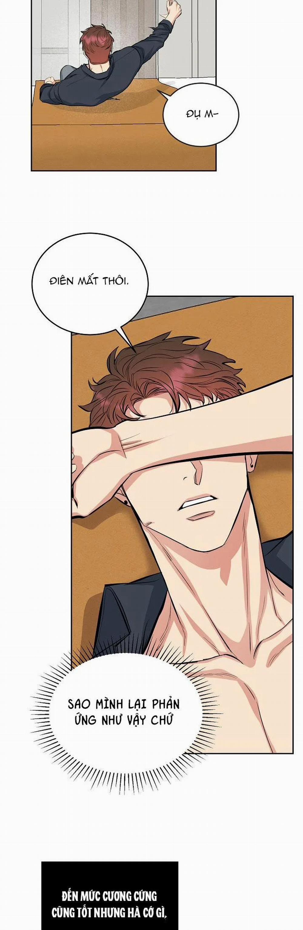 Chó Và Chim 5 trang 30