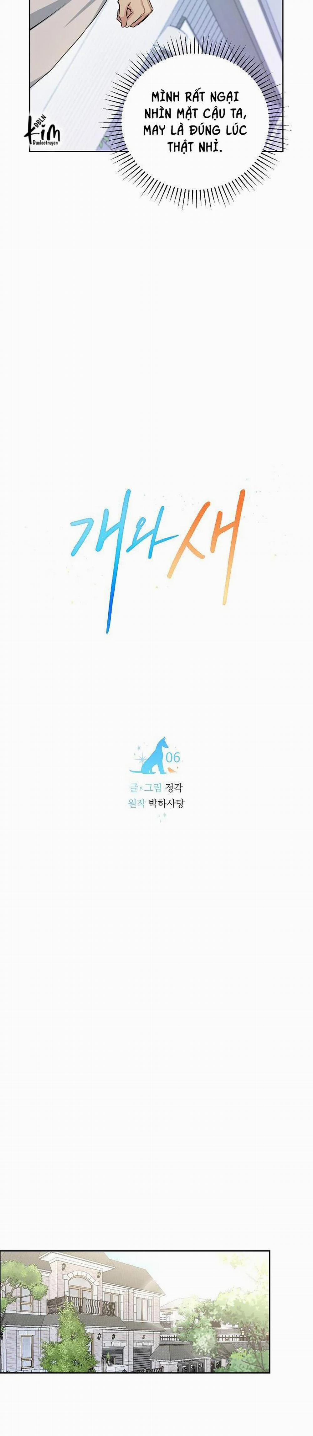 Chó Và Chim 6 trang 5