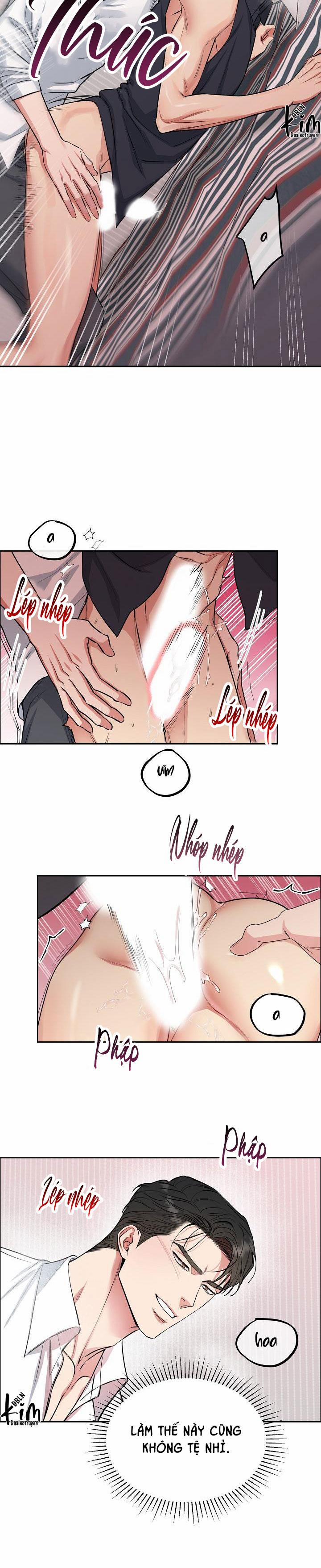 Chó Và Chim 7 0 trang 4