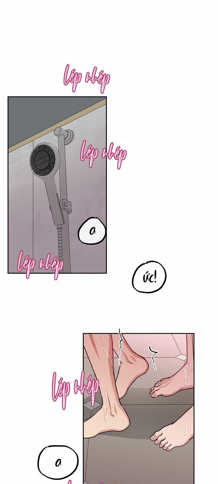 Chó Và Chim 9 HHHH trang 1