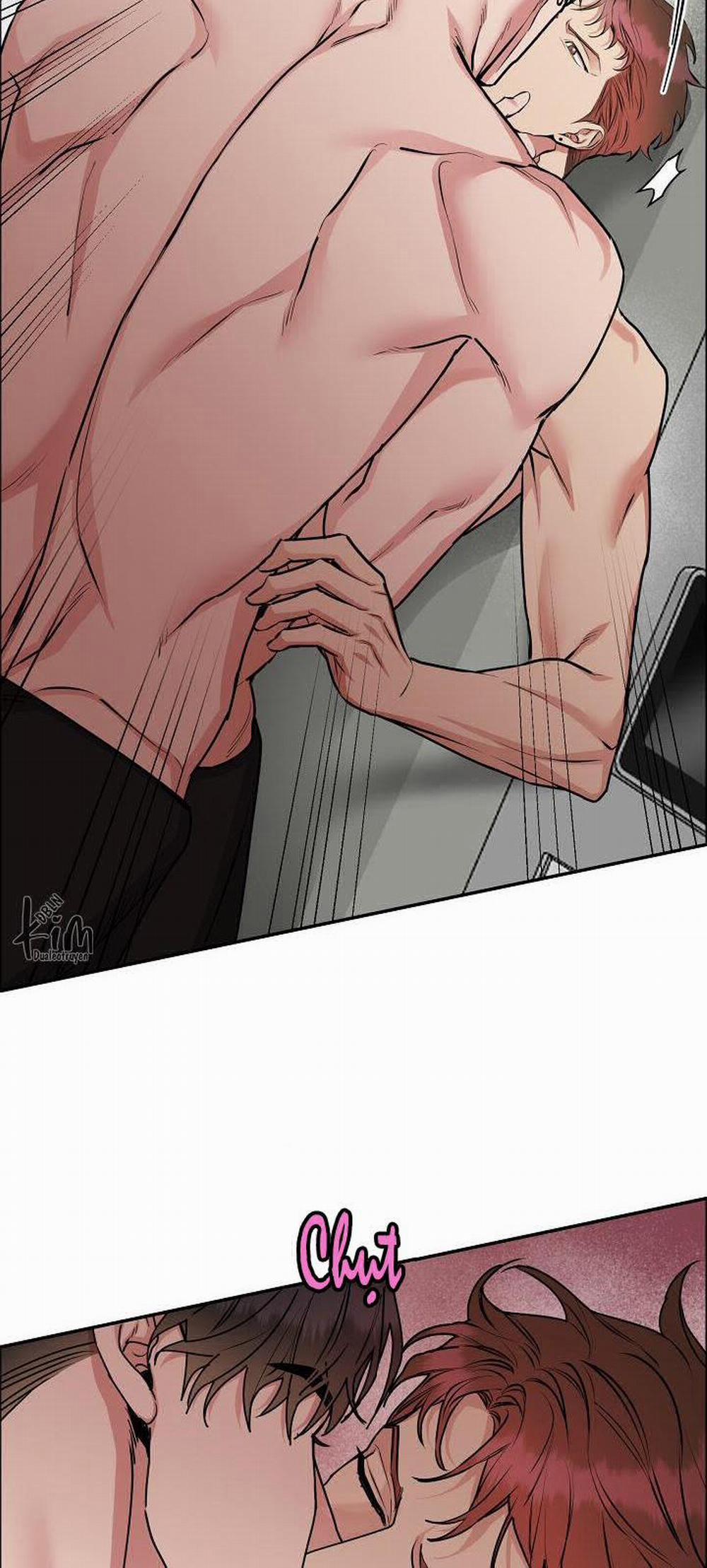 Chó Và Chim 9 trang 11