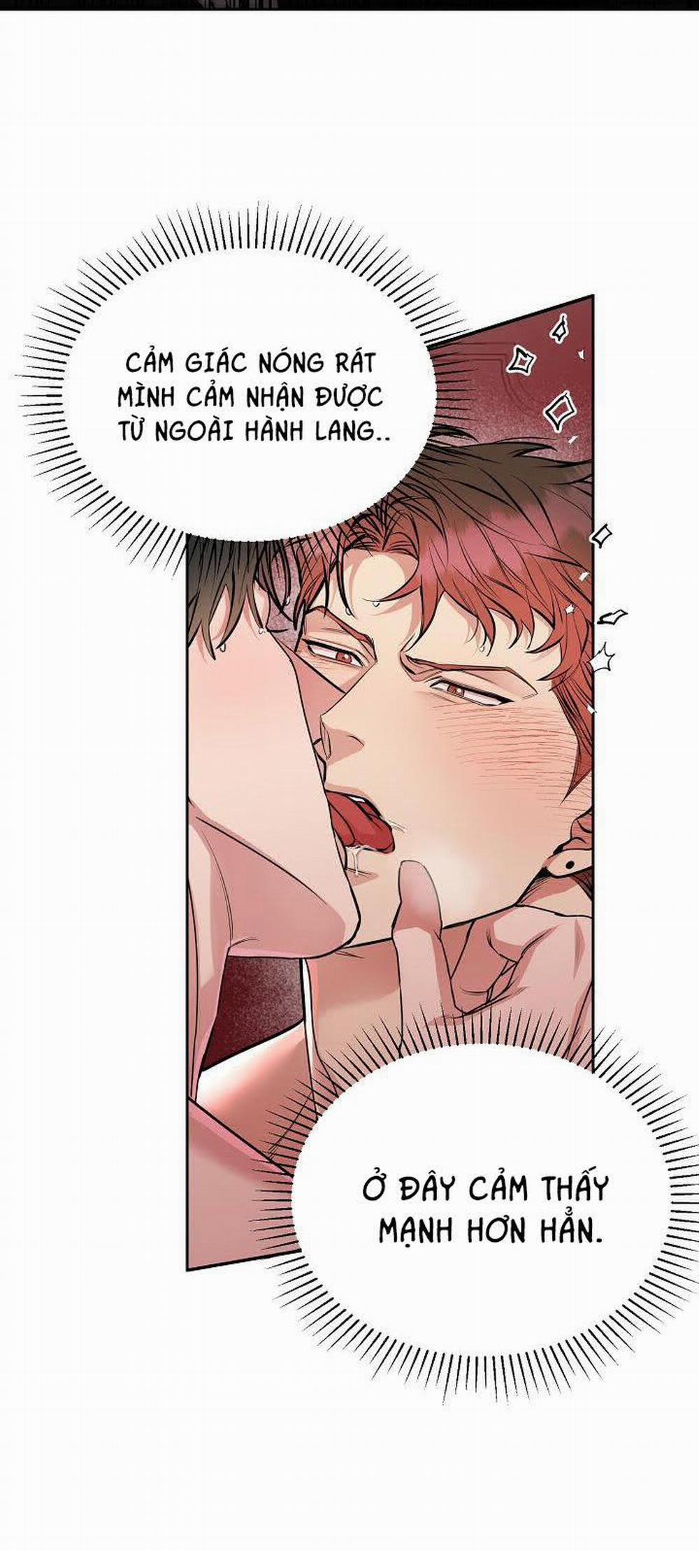 Chó Và Chim 9 trang 14