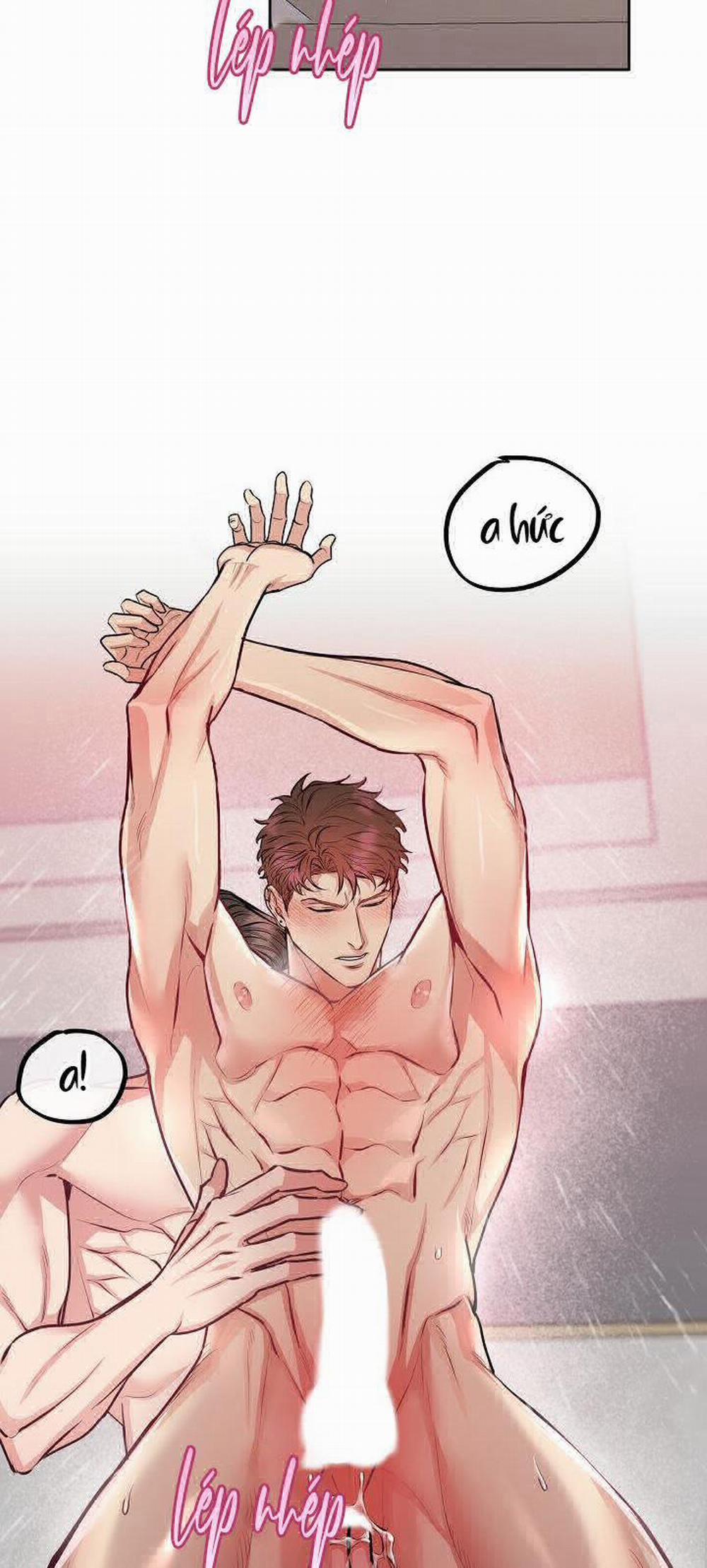 Chó Và Chim 9 trang 2