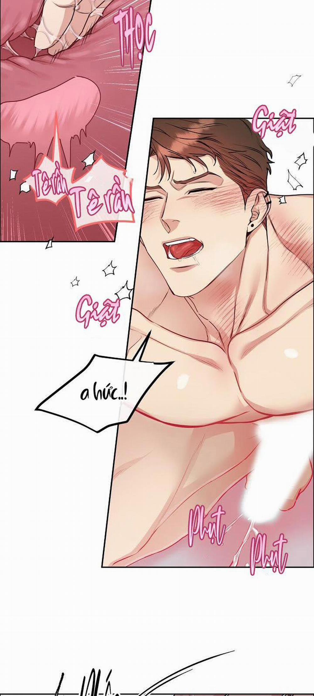 Chó Và Chim 9 trang 37