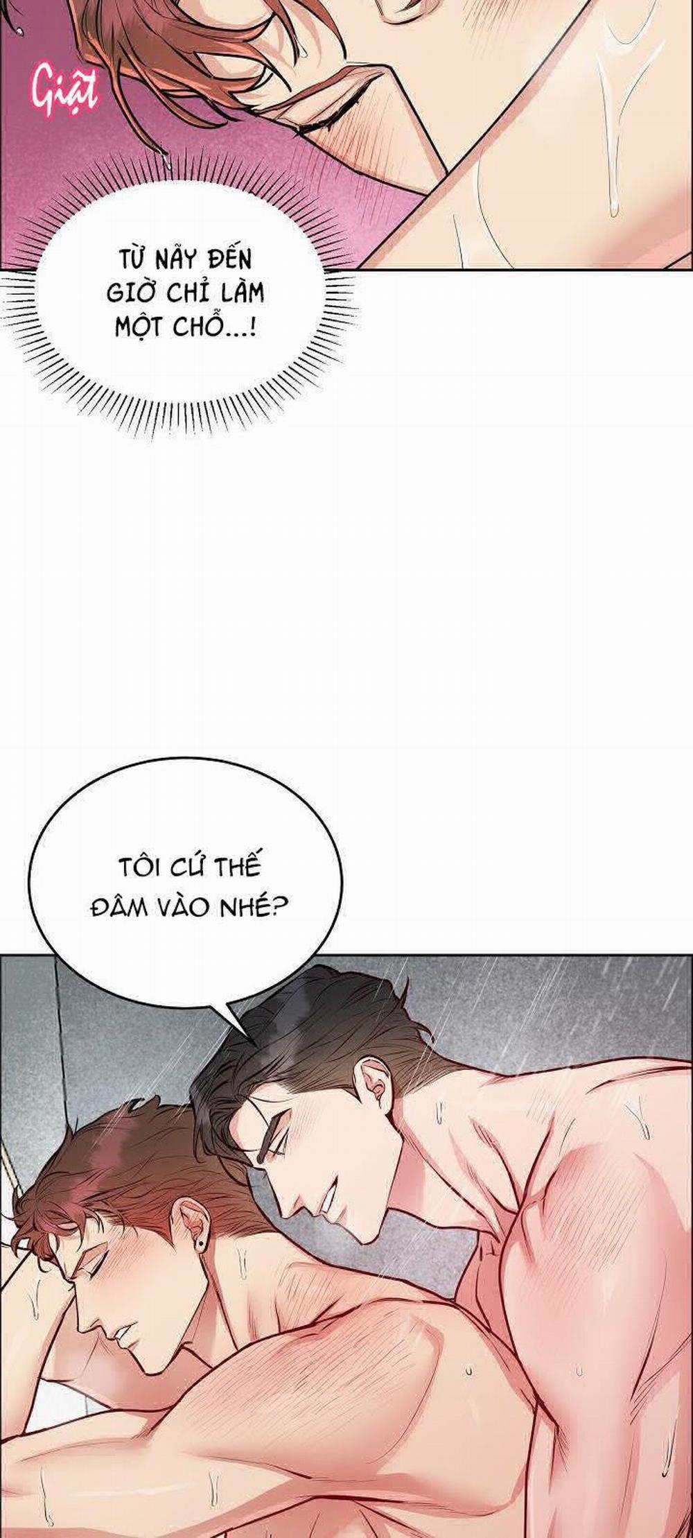 Chó Và Chim 9 trang 4