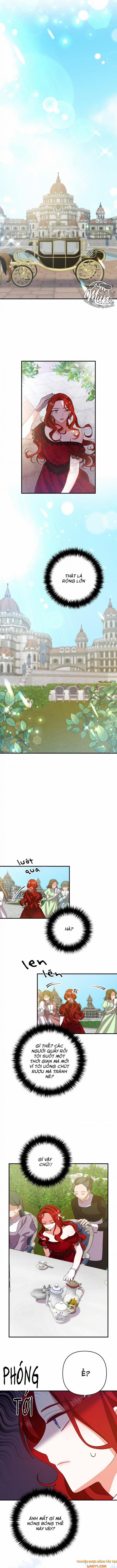 Chồng À, Ly Hôn Với Em Đi ! 11 trang 4