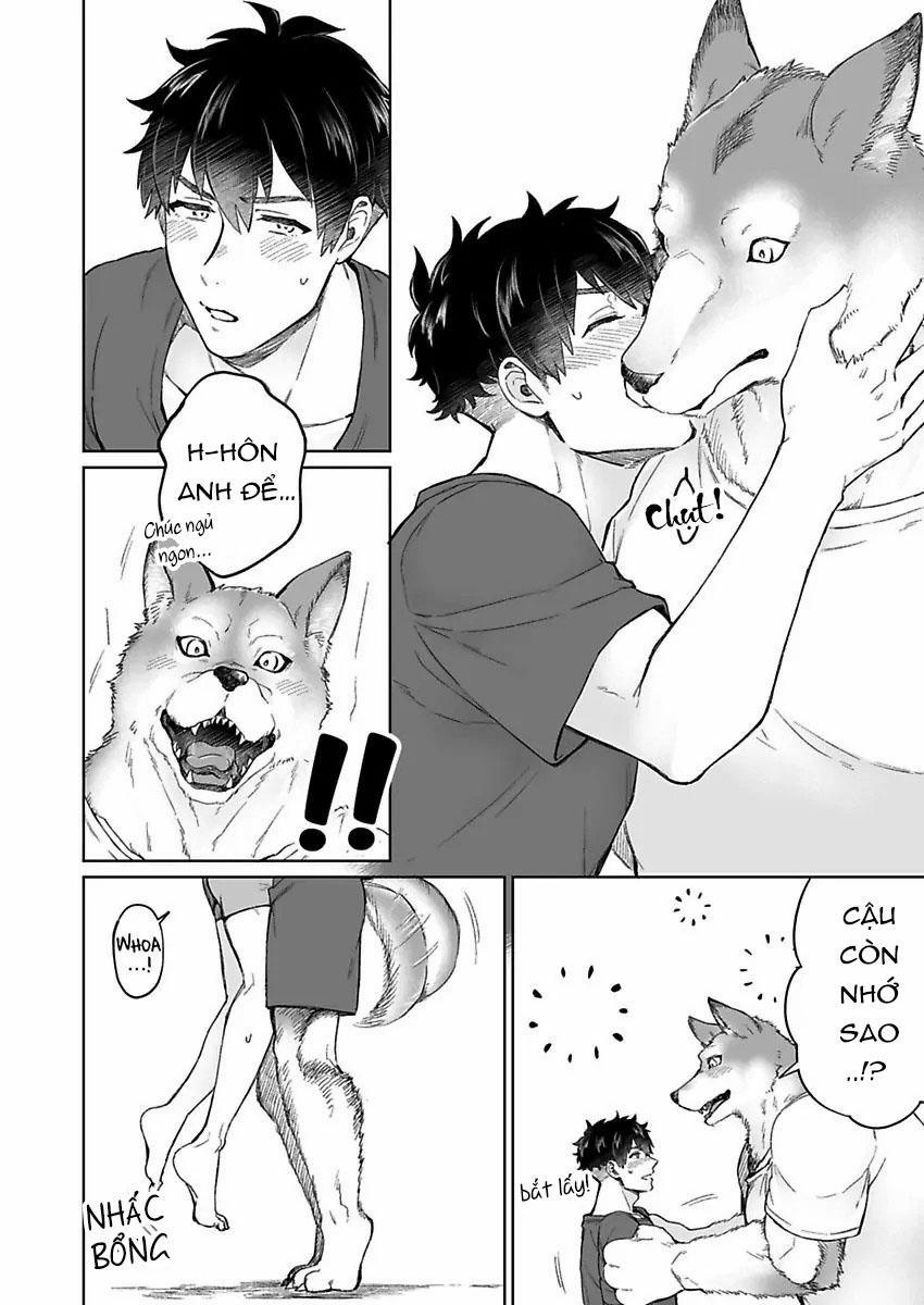 Chồng sói chẳng chịu ngủ cùng tôi 1 trang 21