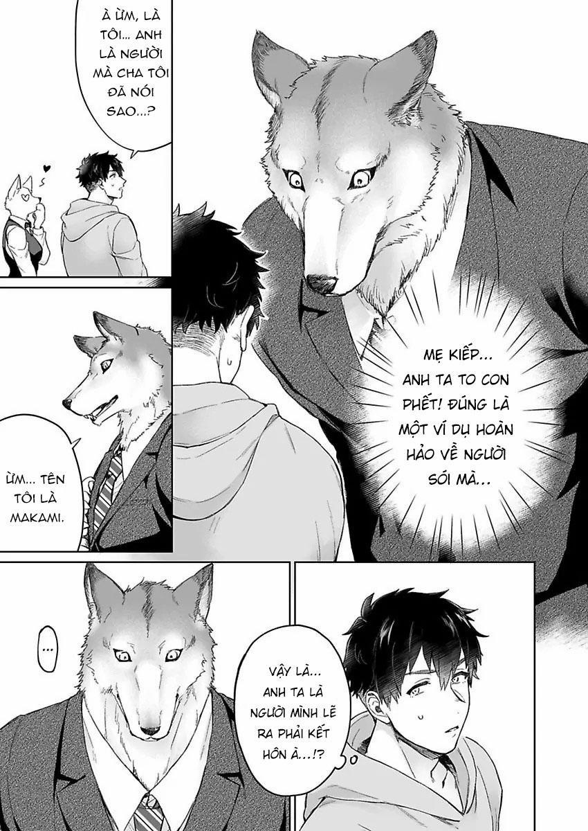 Chồng sói chẳng chịu ngủ cùng tôi 1 trang 8