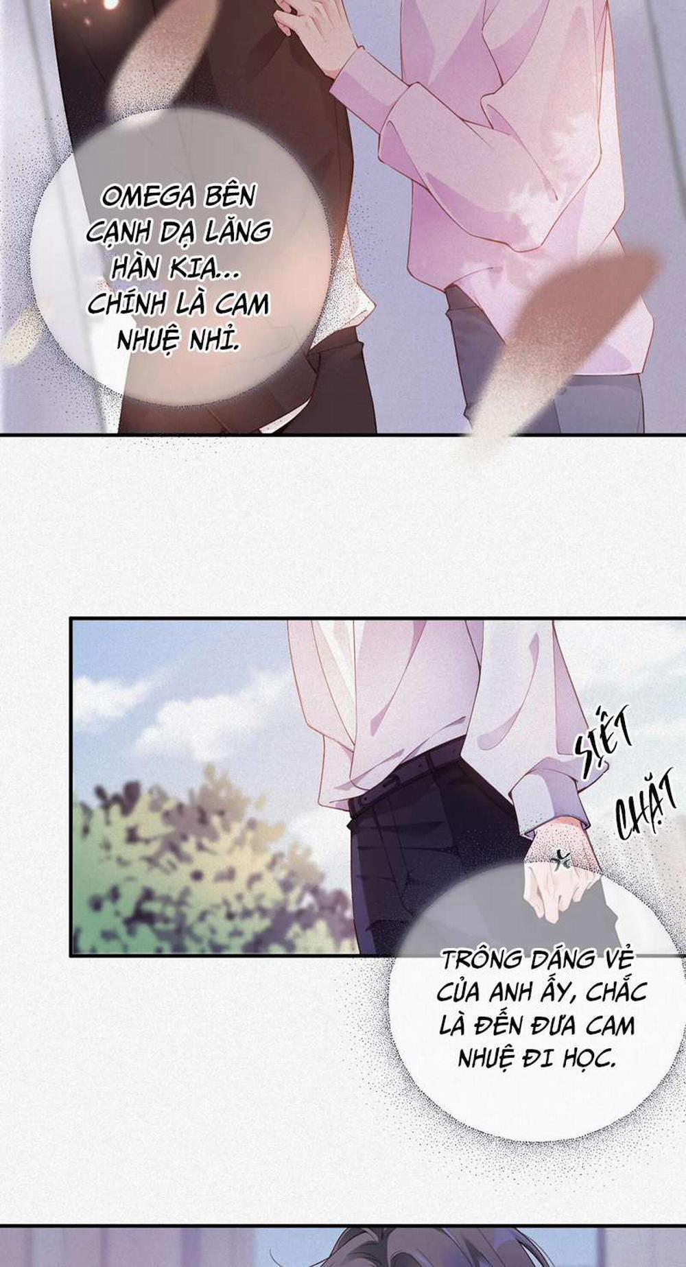 Chồng Trước Lại Muốn Phục Hôn Rồi 9 trang 3