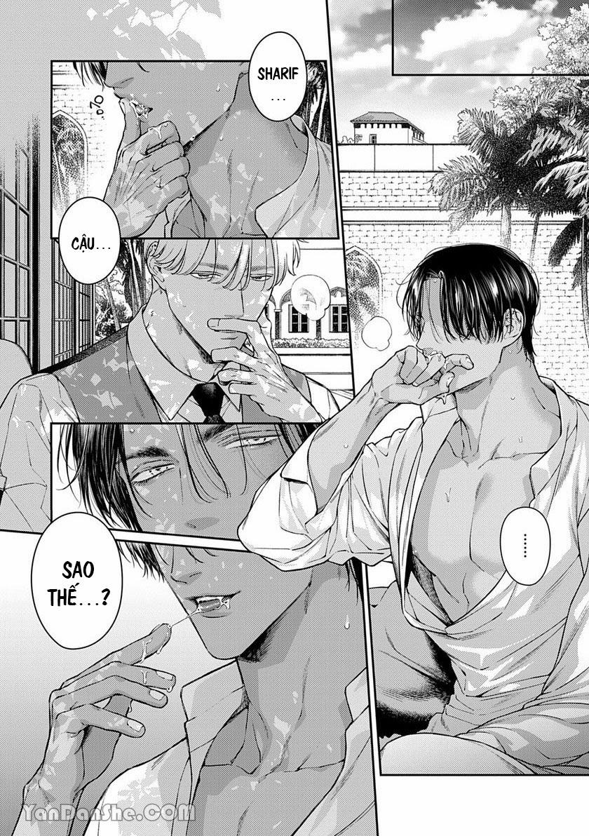 Chú Chim Bình Minh Đầu Hàng Mặt Trăng Quyến Rũ 3.2 trang 11