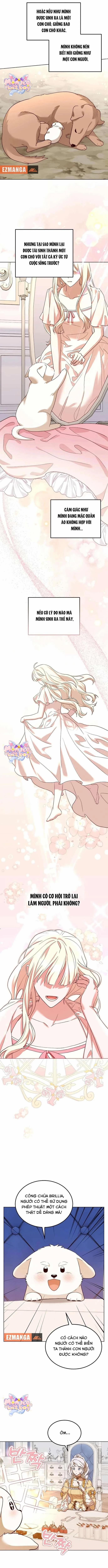 Chú Cún Cưng Của Hoàng Đế 10 trang 2