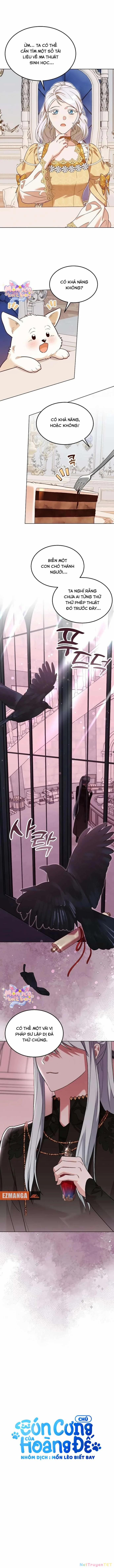Chú Cún Cưng Của Hoàng Đế 10 trang 3