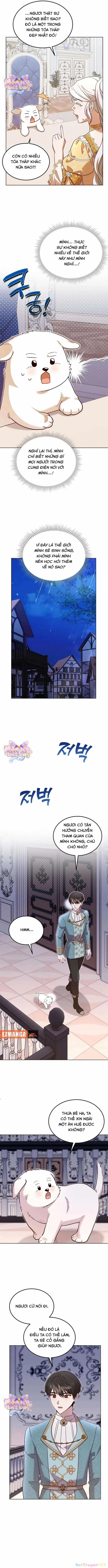 Chú Cún Cưng Của Hoàng Đế 10 trang 6