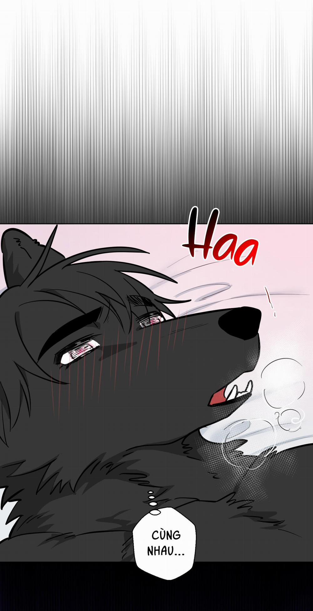 Chú Đã Biết Hết Rồi Sao ? 11 0 trang 11